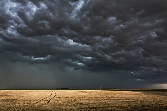 Specialist Carry :: Storm Chaser - Carryology