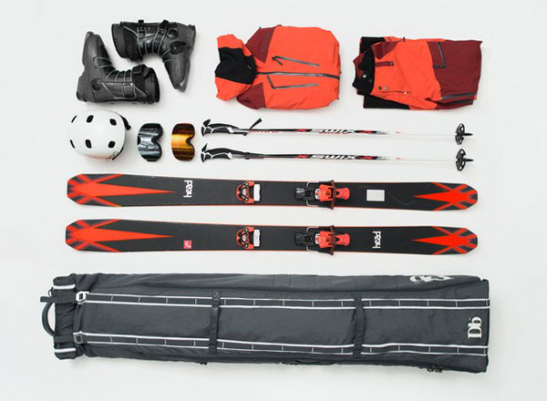 ski carrier bag